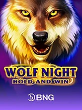 wolf-night