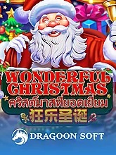 wonderful-christmas