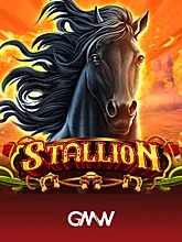 stallion
