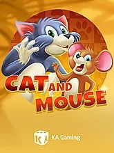 cat-and-mouse