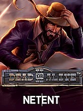 dead-or-alive-2-feature-buy