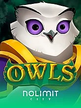 owls