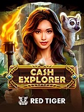 cash-explorer